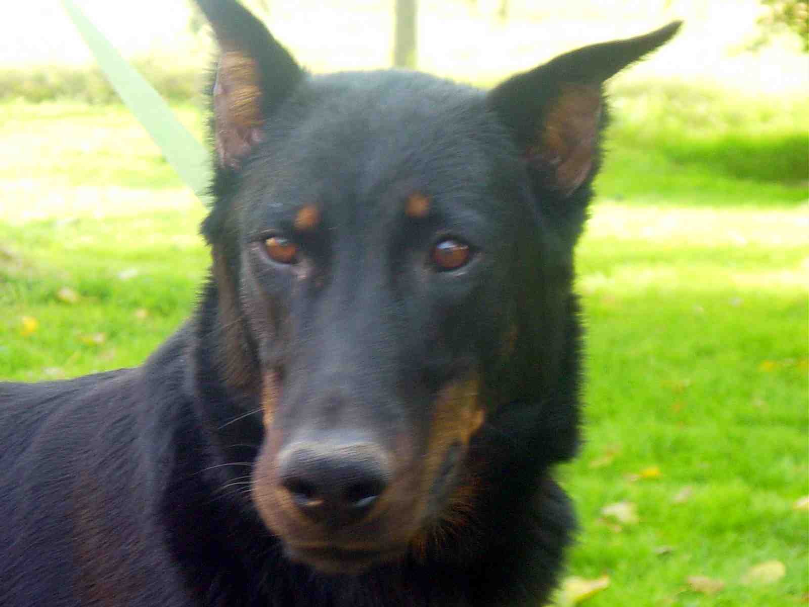 regae de la plaine d'astr�e